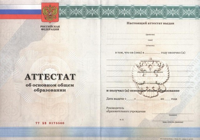Купить международный диплом – Легкий путь к признанию за границей Купить международный диплом – Легкий путь к признанию за границей